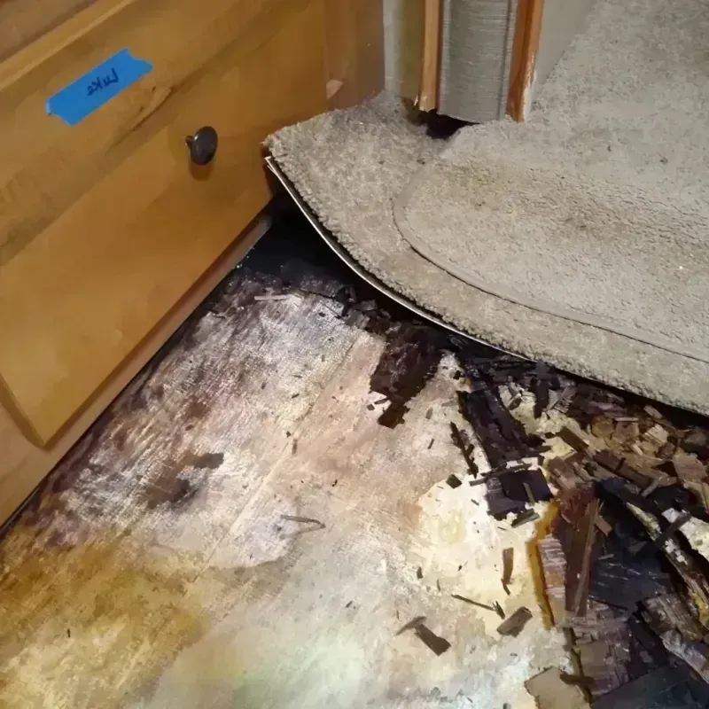 Wood Floor Water Damage in Brundidge, AL